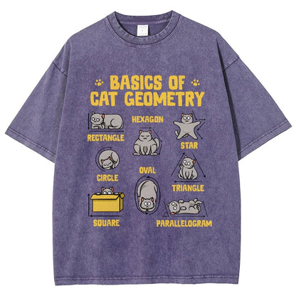 Basics of Cat Geometry Vintage Distressed T-shirt