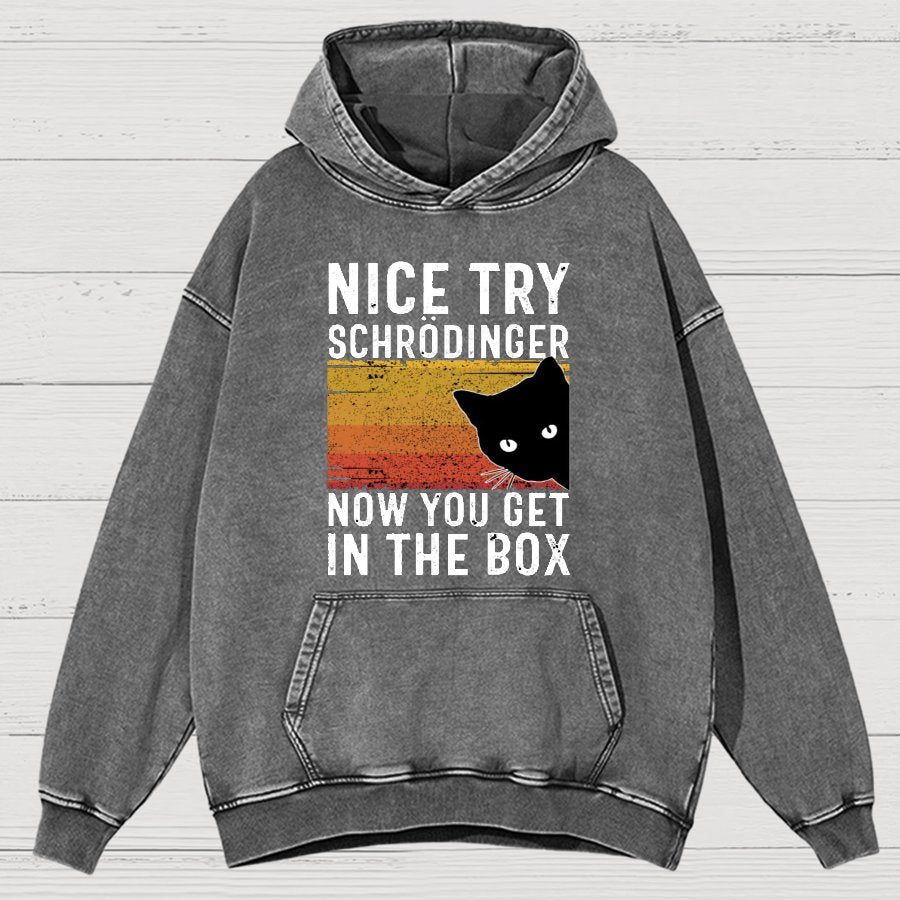 You Get Schrodinger's cat In The Box Vintage Distressed Hoodie