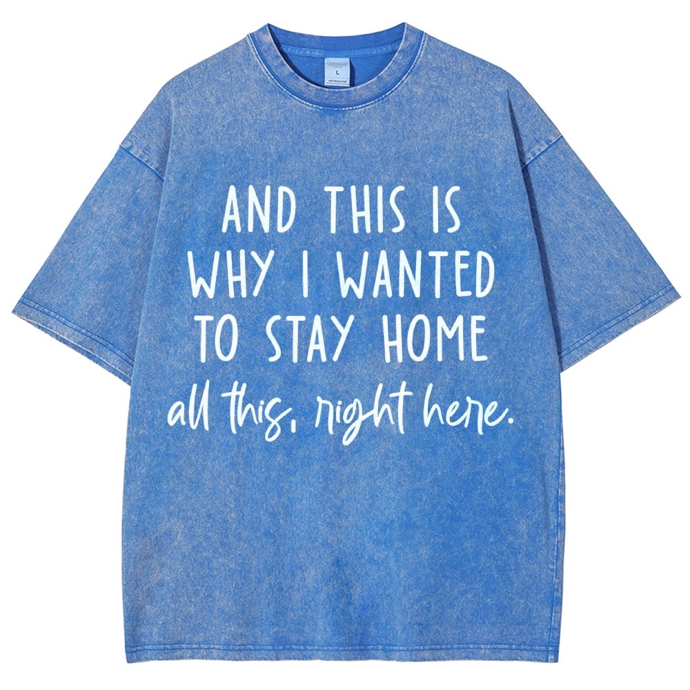 Sarcastic Introvert And This Is Why I Wanted To Stay Home Vintage Distressed T-shirt