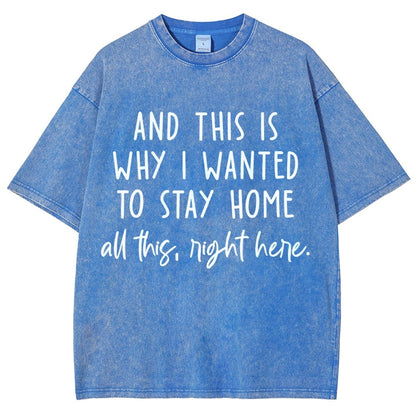 Sarcastic Introvert And This Is Why I Wanted To Stay Home Vintage Distressed T-shirt