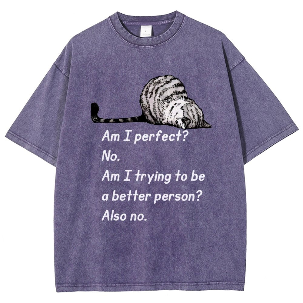 Am I Perfect No Vintage Distressed T-shirt