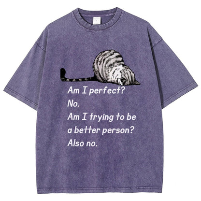 Am I Perfect No Vintage Distressed T-shirt
