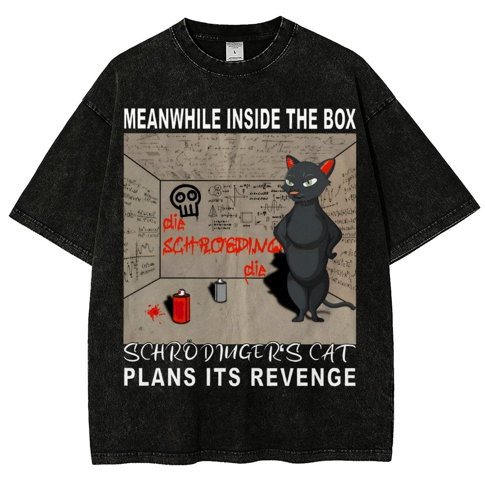 Inside The Box：Schrödingers Cat Plans Its Revenge Vintage Distressed T-shirt