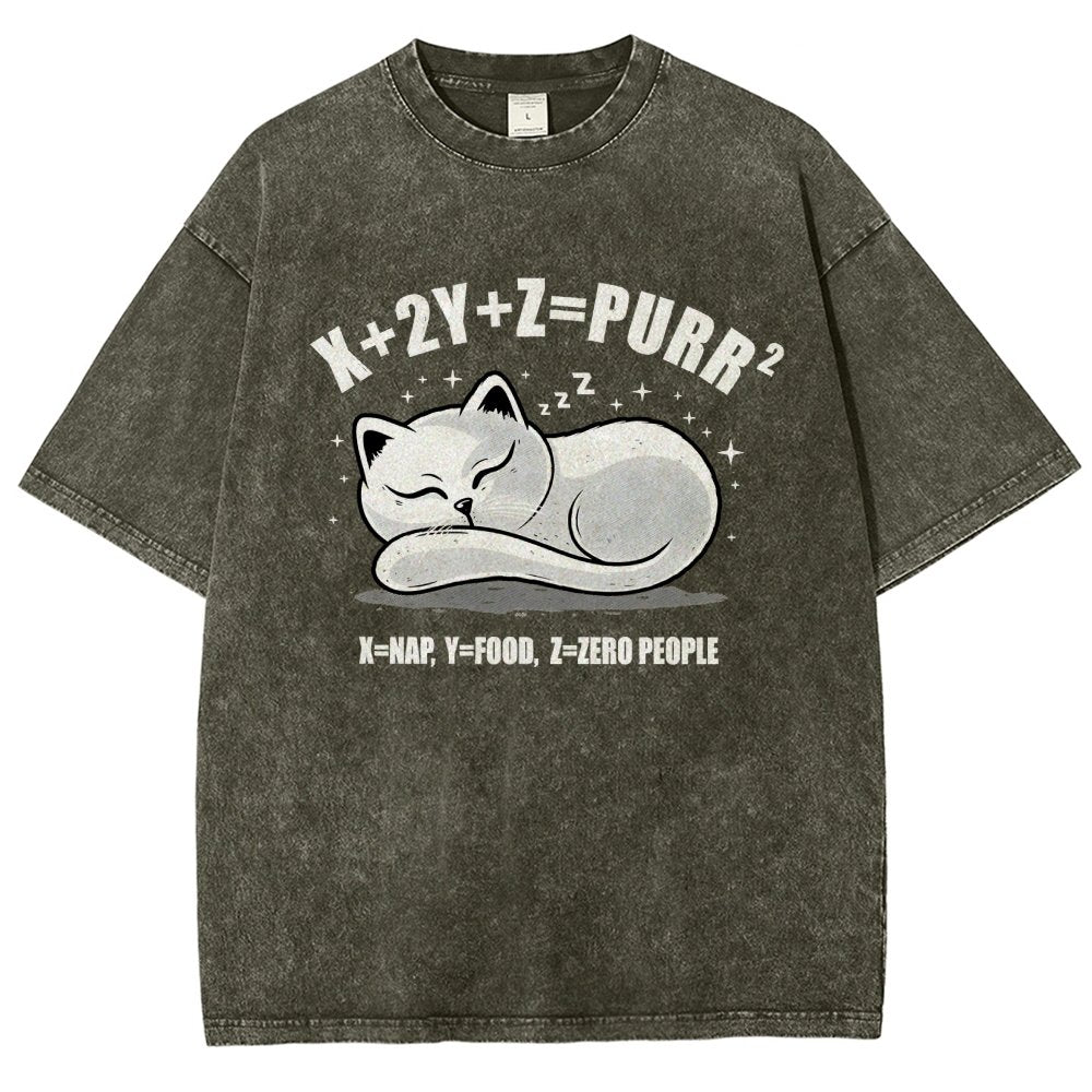 Purrfect Equation Vintage Distressed T-shirt