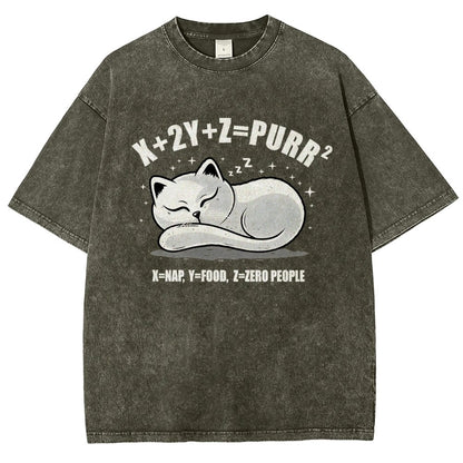 Purrfect Equation Vintage Distressed T-shirt