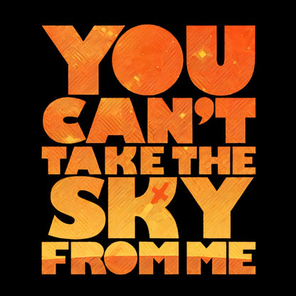 YOU CAN'T TAKE THE SKY Geeky T-Shirt