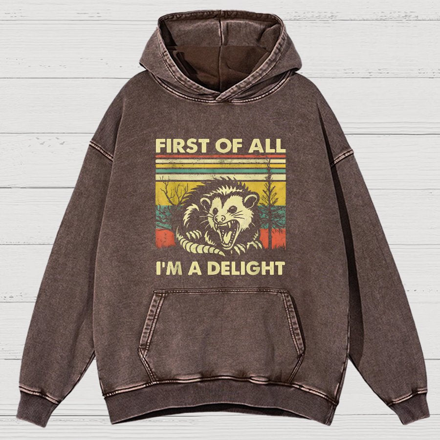 First Of All I'm A Delight Sarcastic Vintage Distressed Hoodie