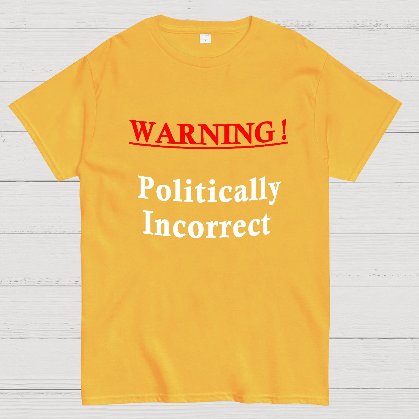 Politically Incorrect Geeky T-Shirt