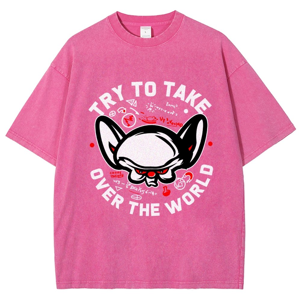 Take Over The World Vintage Distressed T-shirt