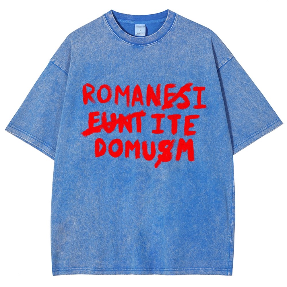 Romani Ite Domum Vintage Distressed T-shirt