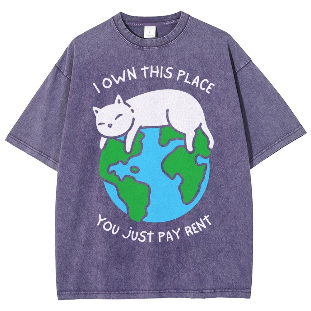 I Own This Place Vintage Distressed T-shirt
