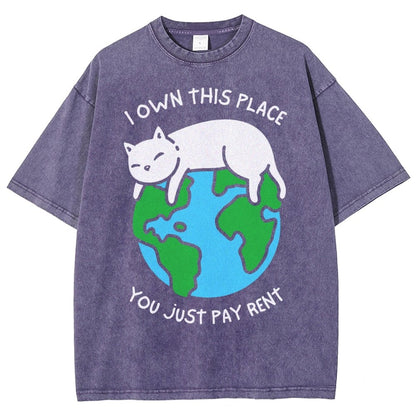 I Own This Place Vintage Distressed T-shirt