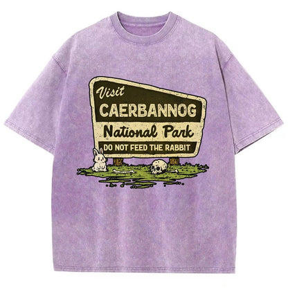 Mystic Valley National Park Vintage Distressed T-shirt