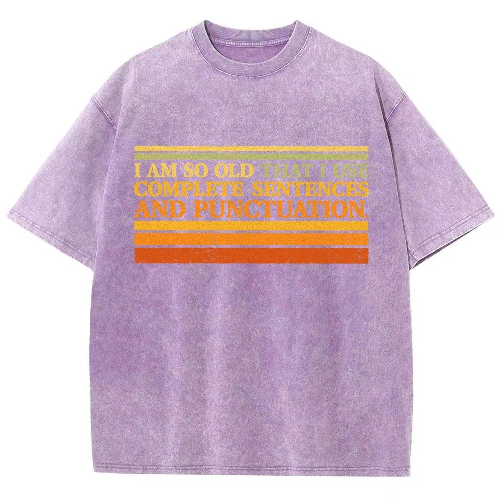 Complete Sentences and Punctuation Vintage Distressed T-shirt