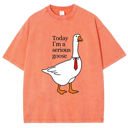 Today I'm A Serious Goose Vintage Distressed T-shirt