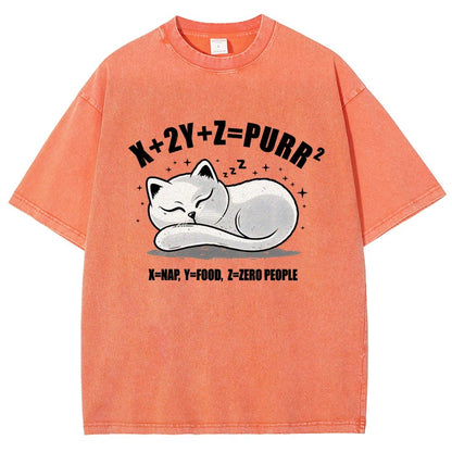 Purrfect Equation Vintage Distressed T-shirt