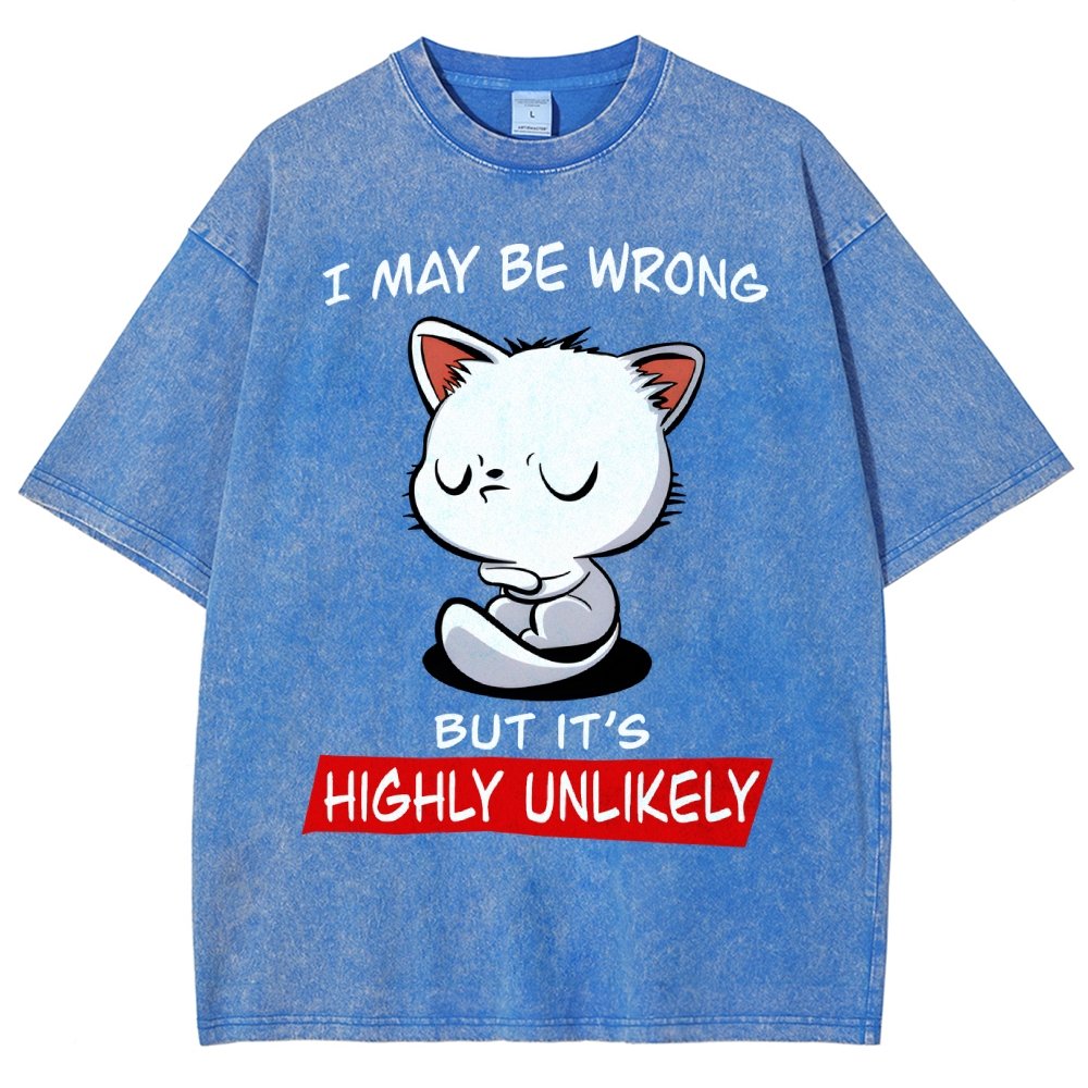 I May Be Wrong Vintage Distressed T-shirt