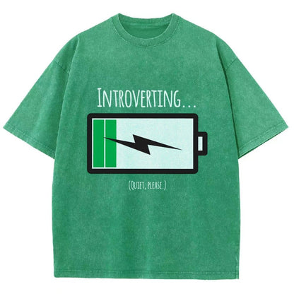 Introverting Vintage Distressed T-shirt