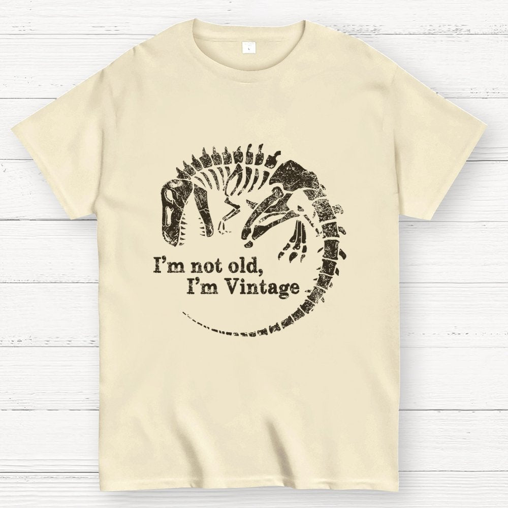 I'm Not Old I'm Vintage Geek T-Shirt