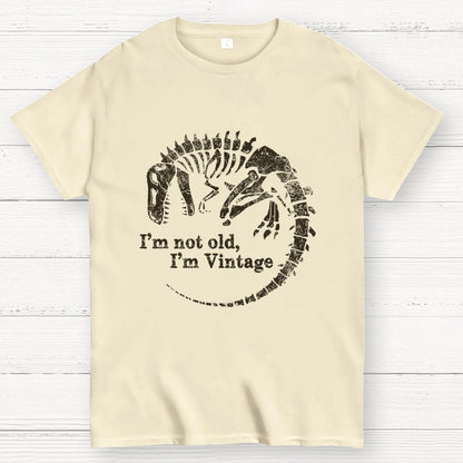 I'm Not Old I'm Vintage Geek T-Shirt