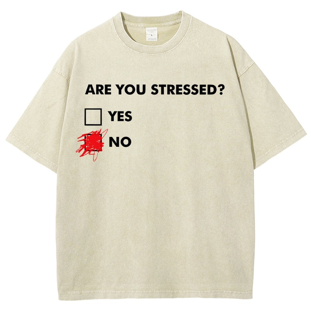 Fuuny Word Are You Stressed No Vintage Distressed T-shirt