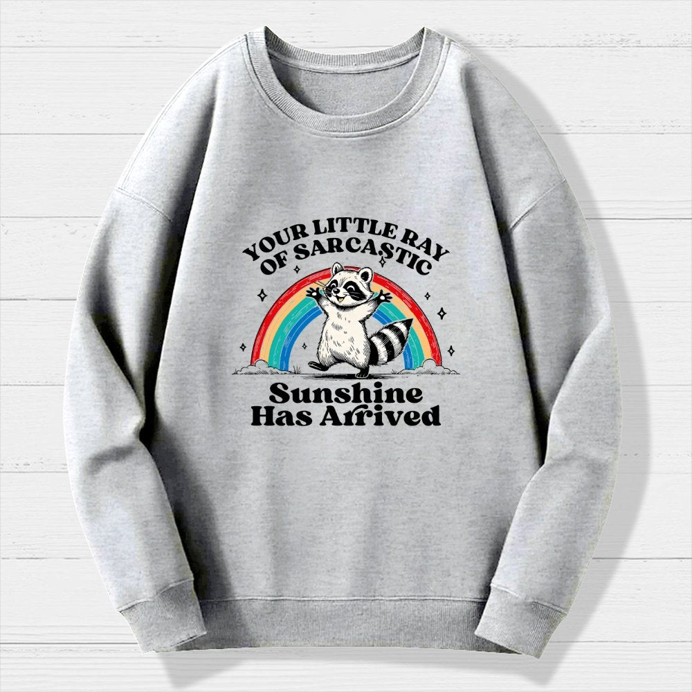 Your Little Ray of Sarcastic Sunshine Has Arrived Geek Cotton Sweatshirt