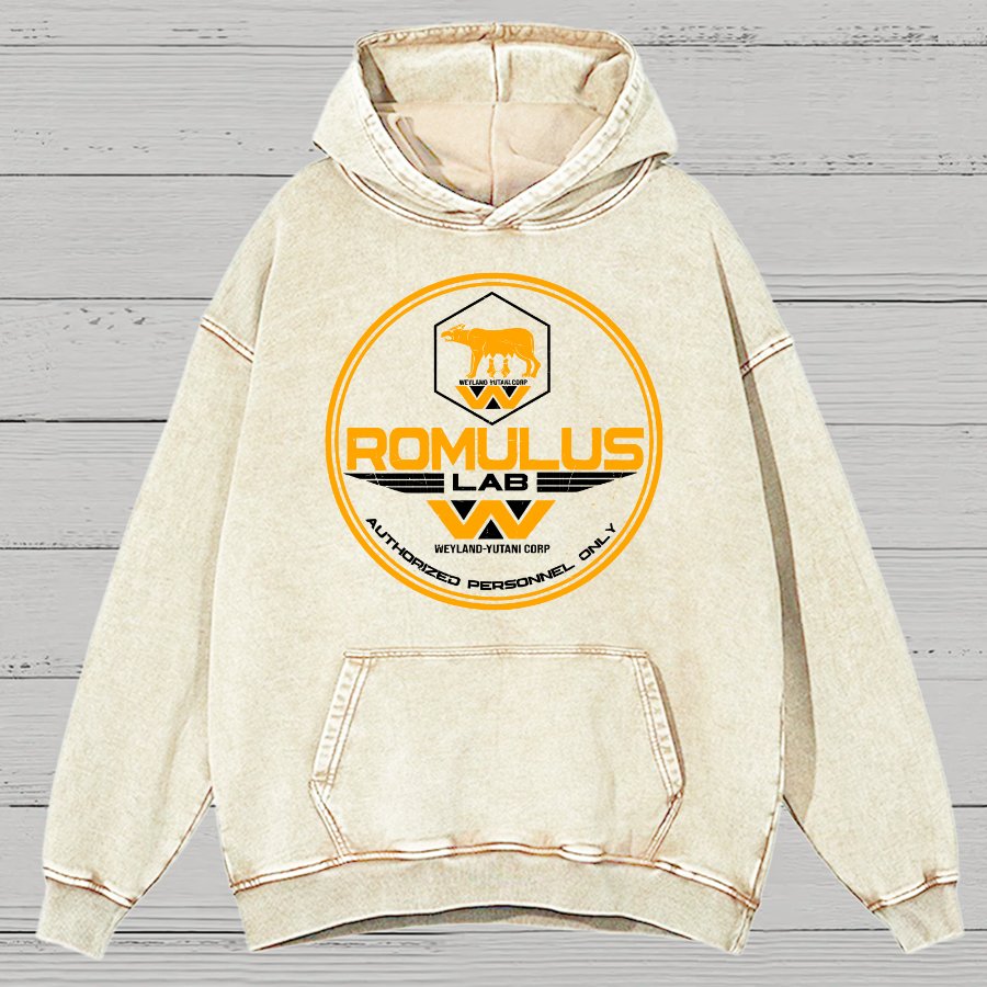 Aurora Lab Vintage Distressed Hoodie