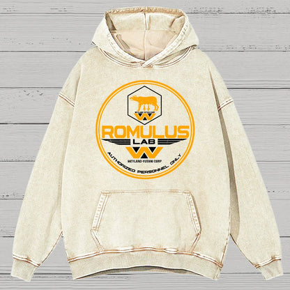 Aurora Lab Vintage Distressed Hoodie