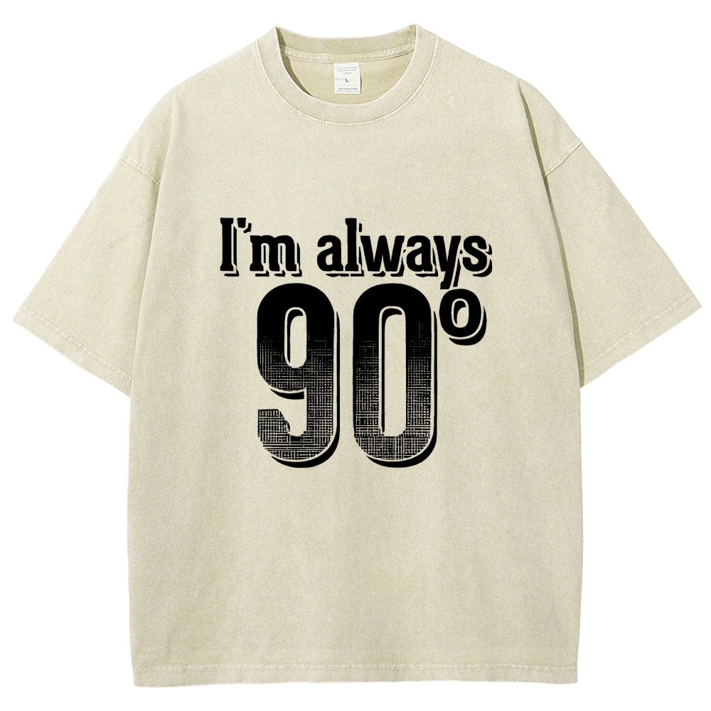I'm Always Right Math Vintage Distressed T-shirt
