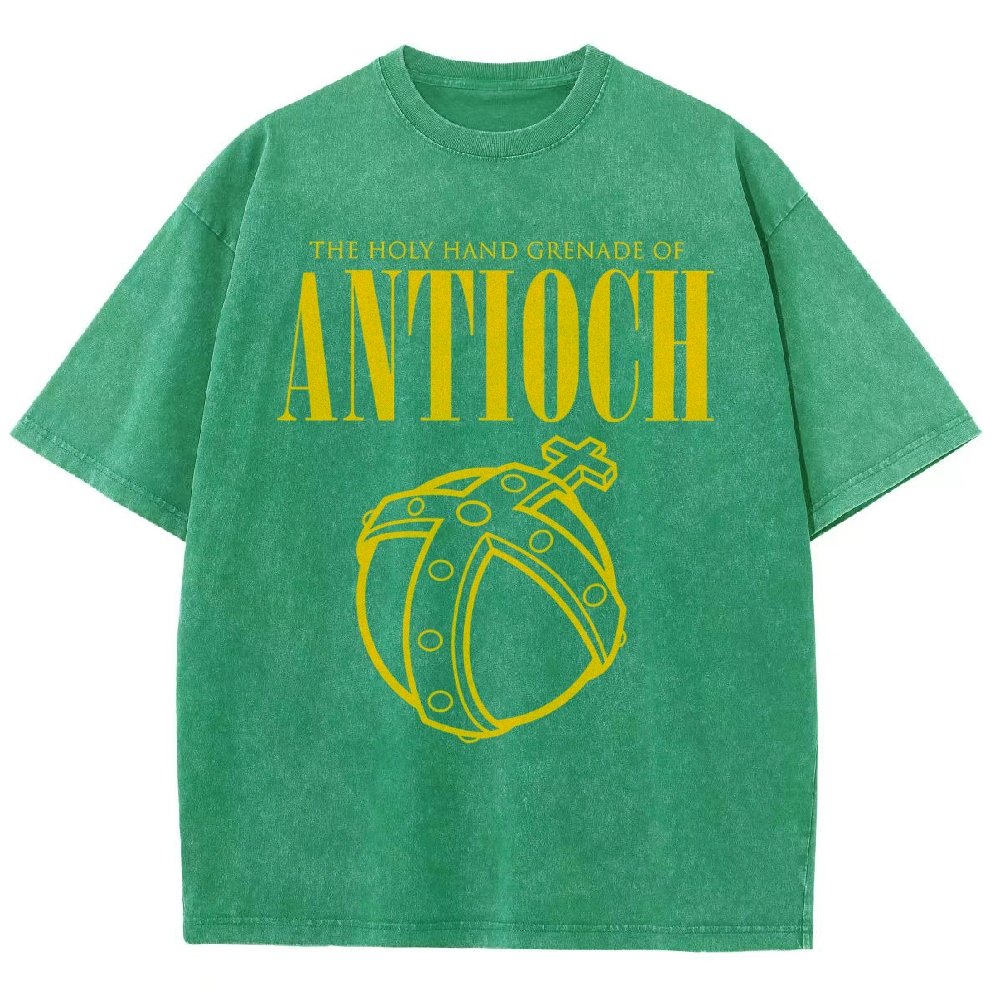 The Holy Hand Grenade of an Ancient Place Vintage Distressed T-shirt