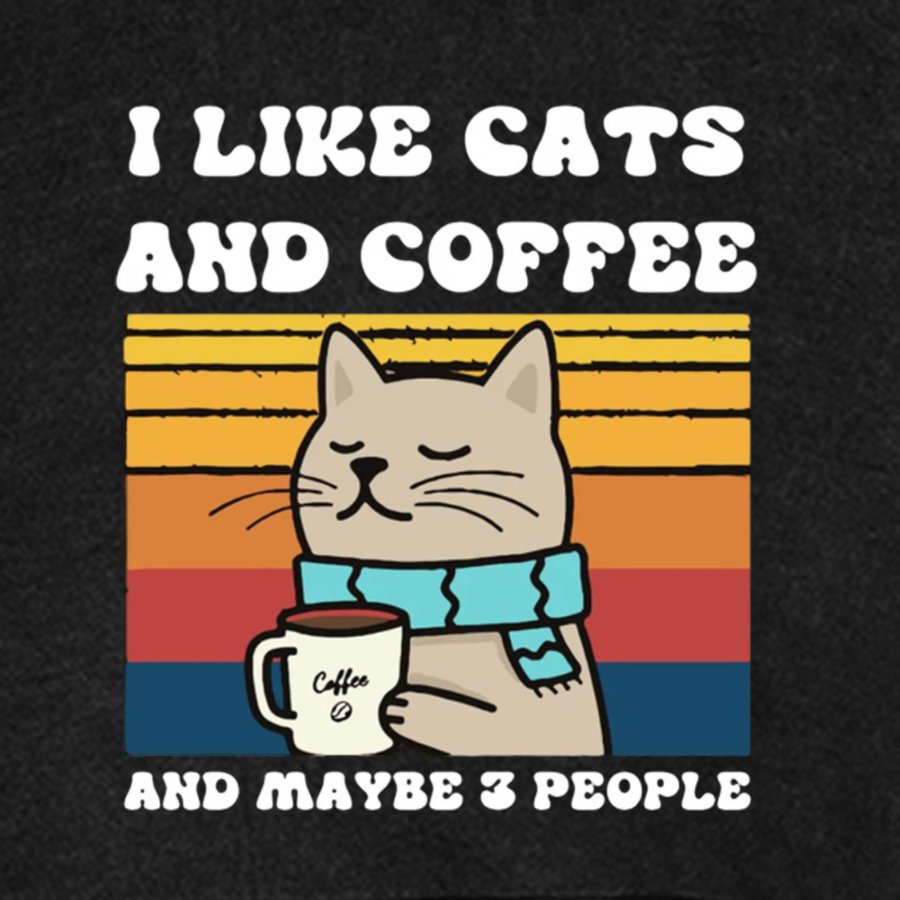 I Like Cats And Coffee And Maybe 3 People Funny Nerd Vintage Distressed Hoodie