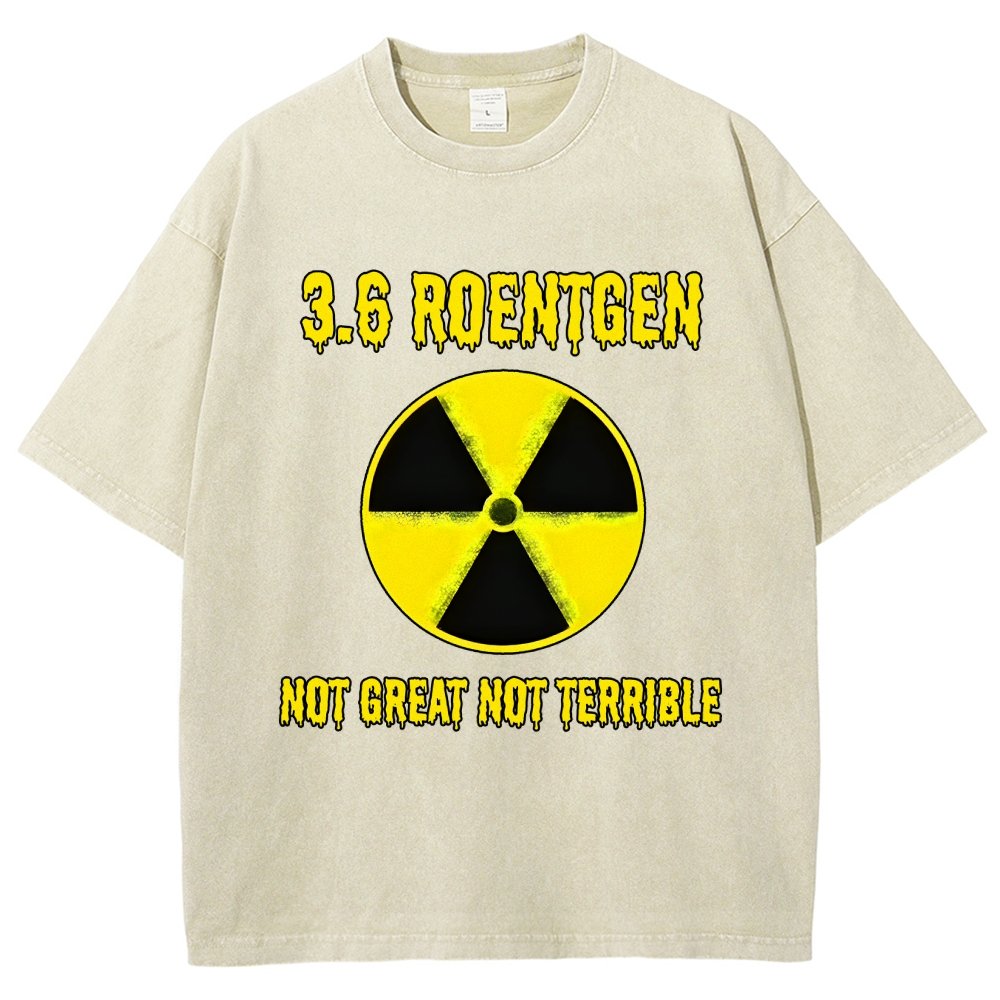 3.6 Roentgen Not Great Not Terrible Vintage Distressed T-shirt