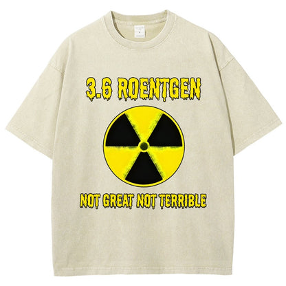 3.6 Roentgen Not Great Not Terrible Vintage Distressed T-shirt