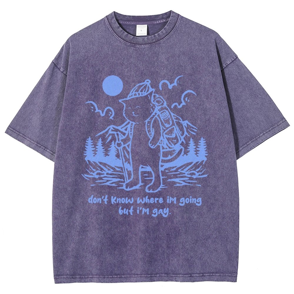 Don't Know Where I'm Going But I'm Gay Vintage Distressed T-shirt