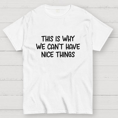 This is Why We Can't Have Nice Things Geek T-Shirt