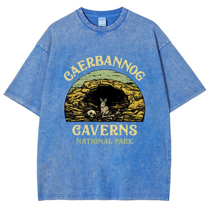 Mystic Caverns National Park Vintage Distressed T-shirt