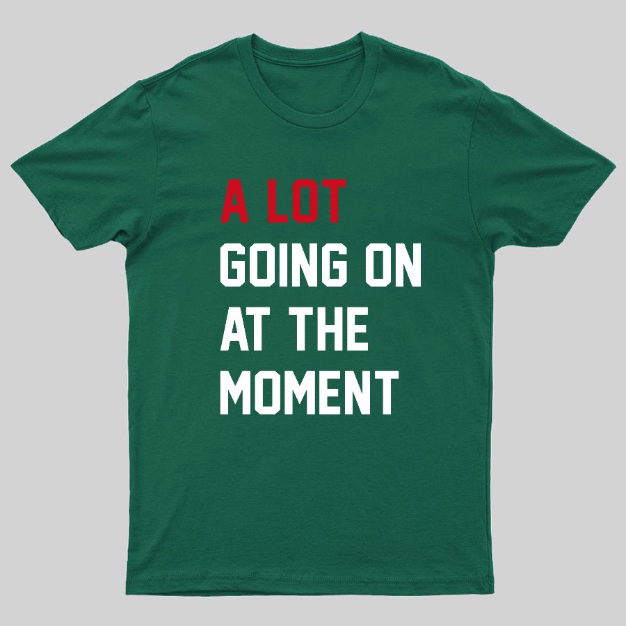 A Lot Going On at The Moment Geeky T-Shirt