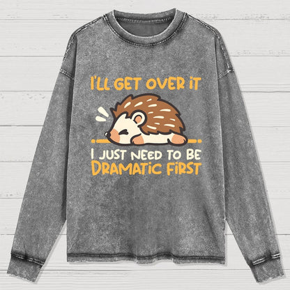 Dramatic Hedgehog Washed Long Sleeve Tee