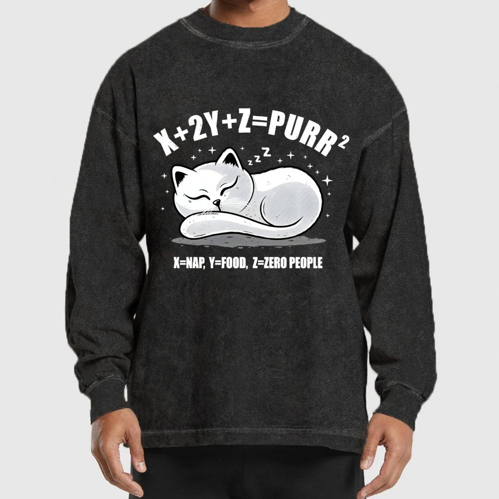 Purrfect Equation Washed Long Sleeve Tee