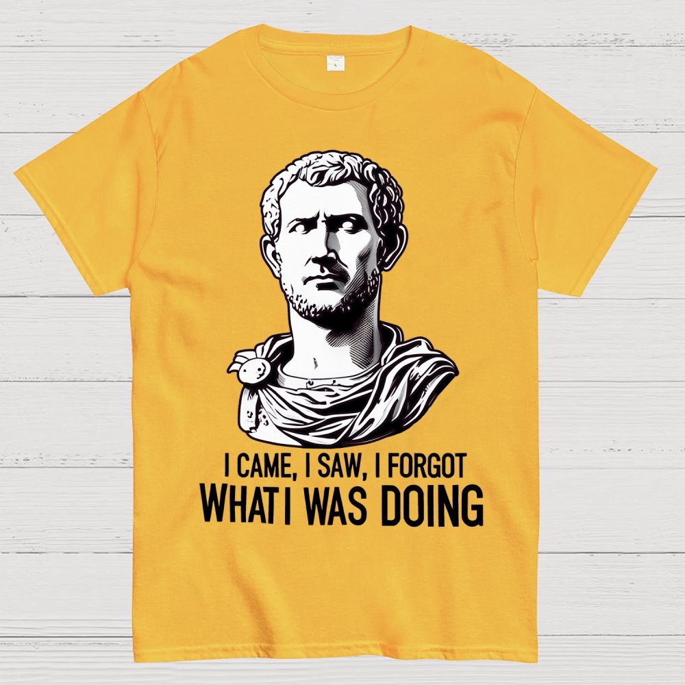 I Came  I saw  I forgot What I was Doing Geek T-Shirt