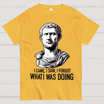 I Came  I saw  I forgot What I was Doing Geek T-Shirt