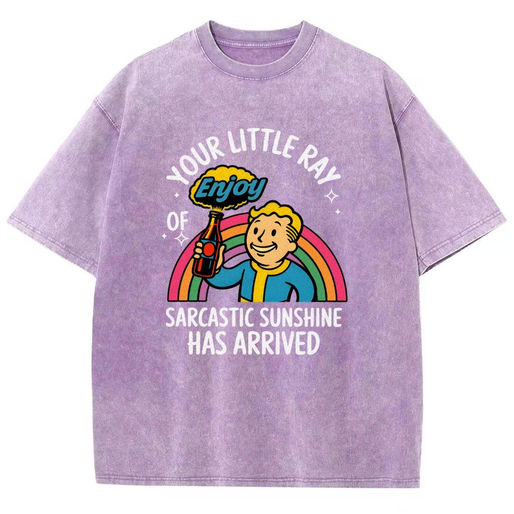 Your Little Ray of Sarcastic Sunshine Has Arrived Vintage Distressed T-shirt