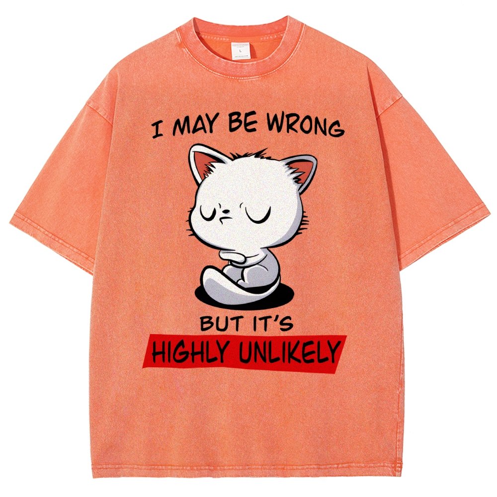 I May Be Wrong Vintage Distressed T-shirt