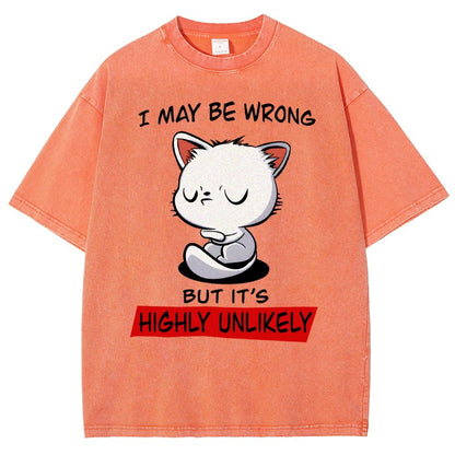 I May Be Wrong Vintage Distressed T-shirt