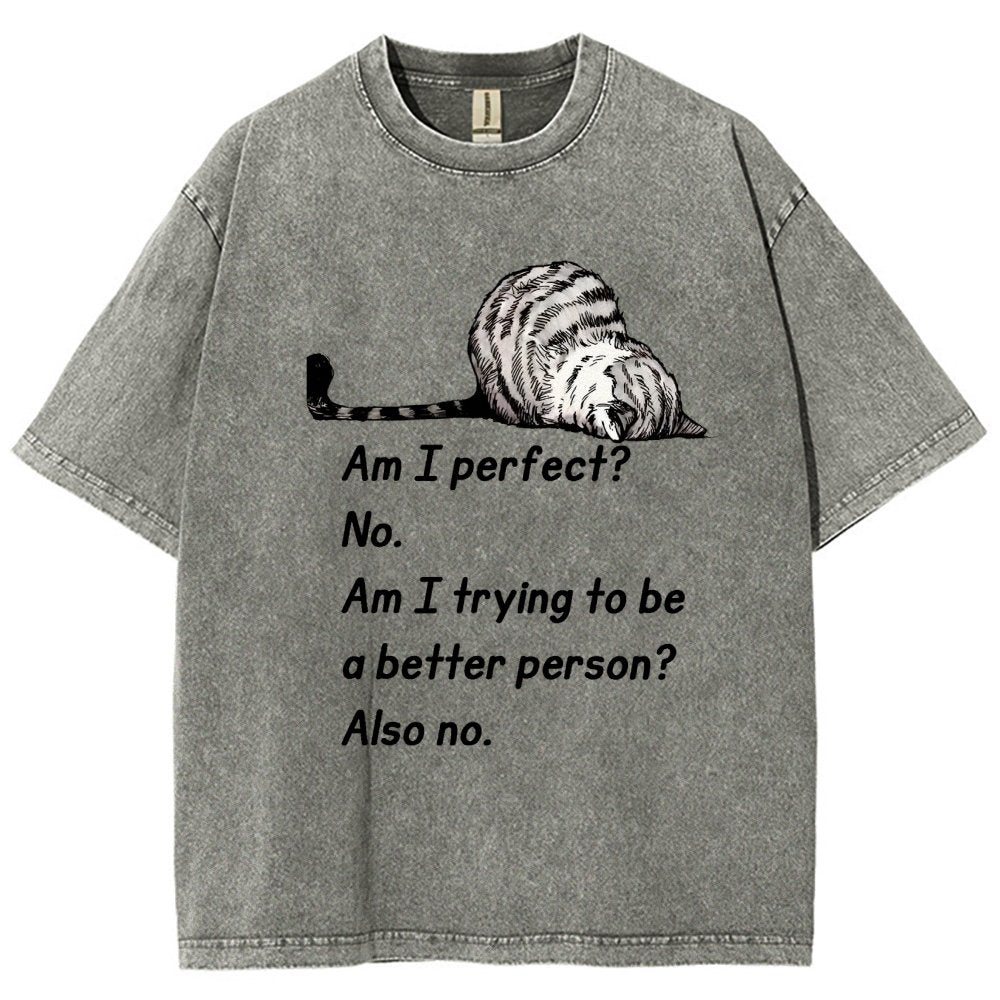 Am I Perfect No Vintage Distressed T-shirt