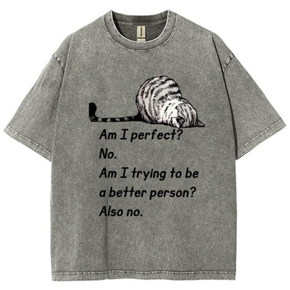 Am I Perfect No Vintage Distressed T-shirt
