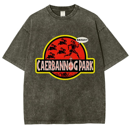 Greenwood Park Vintage Distressed T-shirt