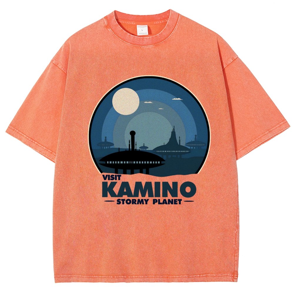 Arcadia Vintage Distressed T-shirt