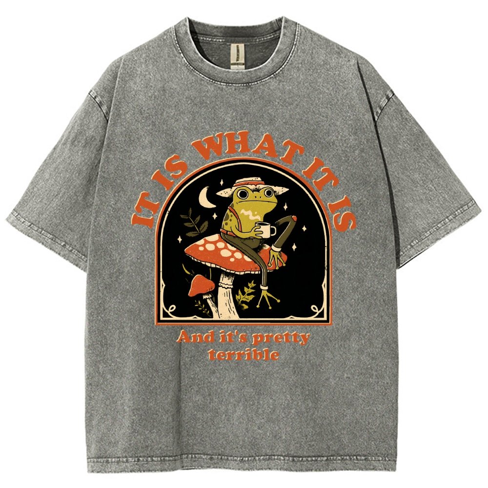 It Is What It Is And It's Pretty Terrible Vintage Distressed T-shirt