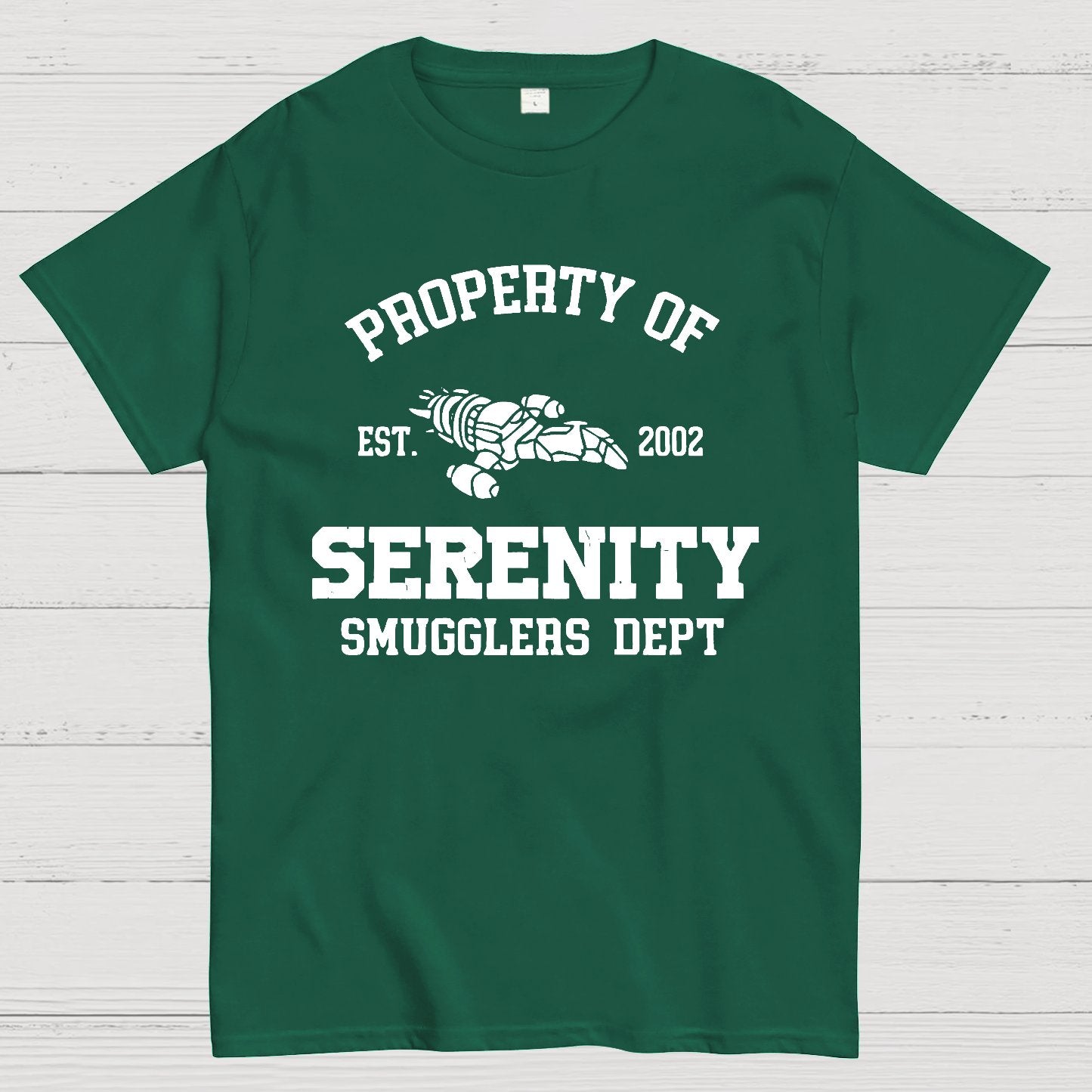 Property of Starlight Geek T-Shirt